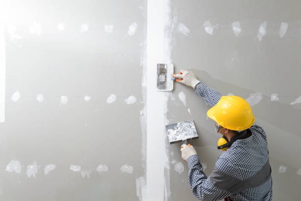Best Water Damage & Mold Remediation  in Baileys Crossroads, VA